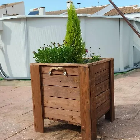 La Casa Del Conde *